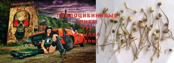 стаф Слюдянка