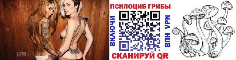 Псилоцибиновые грибы мицелий  Купить  Вилючинск 