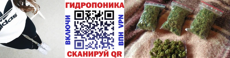 Купить  Вилючинск  Бошки марихуана ГИДРОПОН 